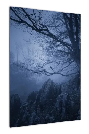 Schilderij - Donker bos Popularny