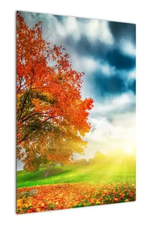 Tylko dziś Schilderij - Landschap in zonlicht