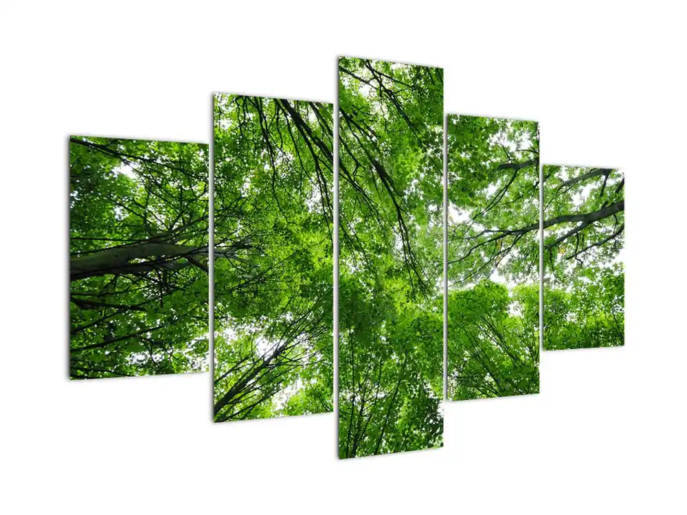 Oryginalny Schilderij - Boomtoppen tegen de hemel