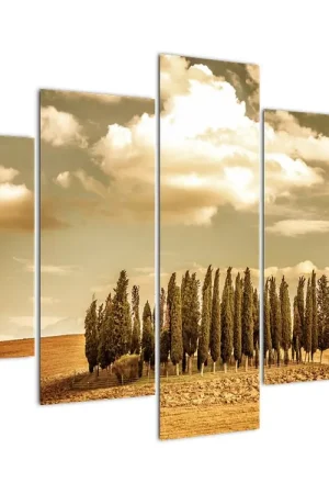 Schilderij - Bosweide Promocja