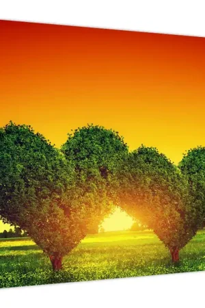 Premium Schilderij - Hart in boomkruinen