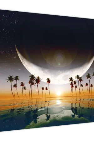 Niska cena Schilderij - Maan boven palmbomen