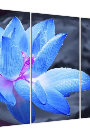 Schilderij - Bloesem, detail Oryginalny