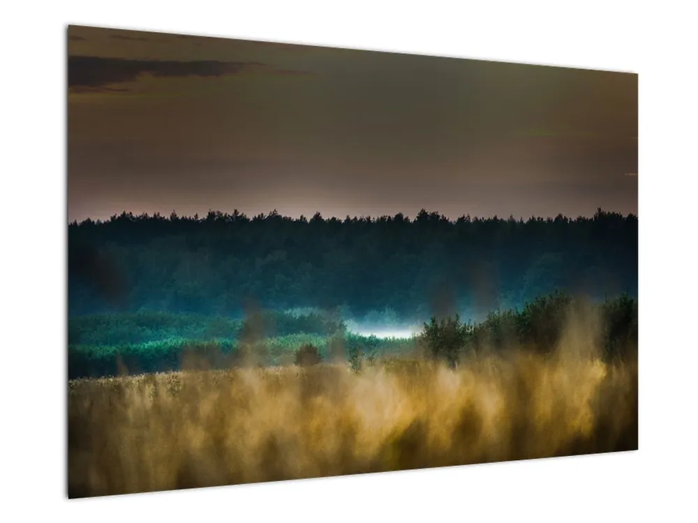 Schilderij - Berglandschap Niska cena