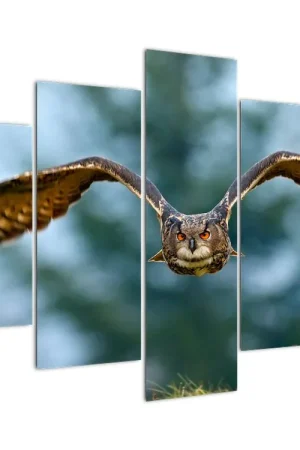 Schilderij - Vliegende uil Oferta