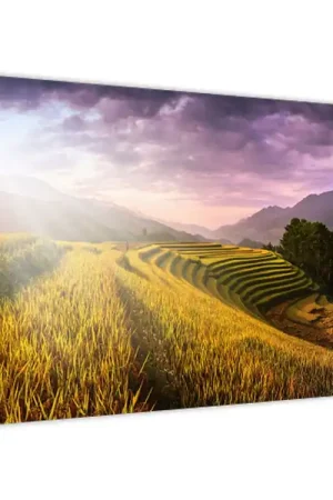 Schilderij - Landschap Premium