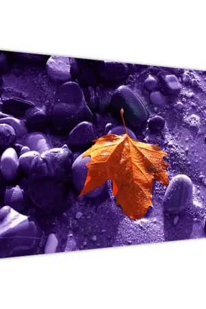 Promocja Schilderij - Strand