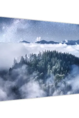 Zamów teraz Schilderij - Nevel in het bos