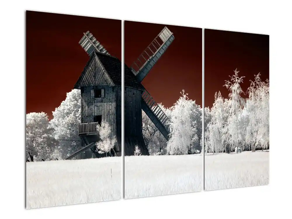 Nowość Schilderij - Molen