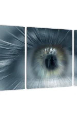 Niska cena Schilderij - Oog