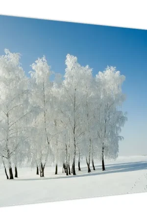 Promocja Schilderij - Besneeuwd landschap