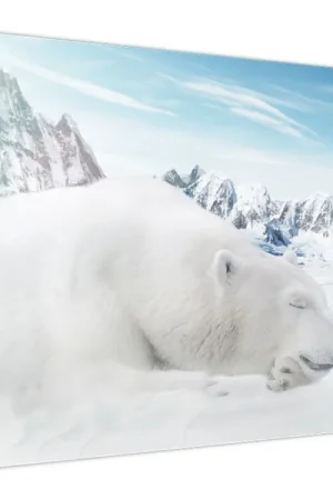 Schilderij - IJsbeer Wysoka jakość