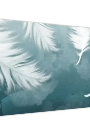 Oferta Schilderij - Witte veertjes