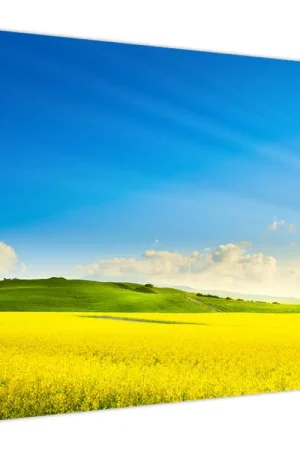 Schilderij - Lentehemel Darmowa dostawa