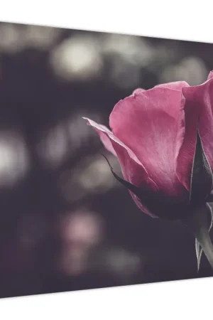 Promocja Schilderij - Rozenbloesem, detail