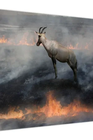 Wysoka jakość Schilderij - Gems in vuur