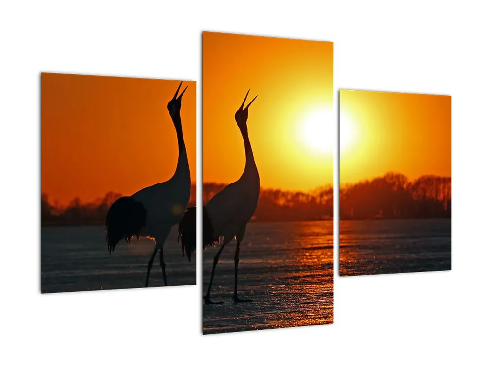 Ostatnia szansa Schilderij - Vogels bij zonsondergang