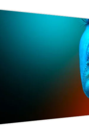 Tani Schilderij - Glinsterend gezicht