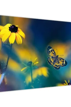 Schilderij - Gele vlinder met bloemen Niska cena