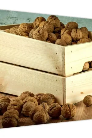 Niska cena Schilderij - Herfststilleven met noten