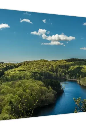 Schilderij - Meer tussen de bossen Oferta limitowana