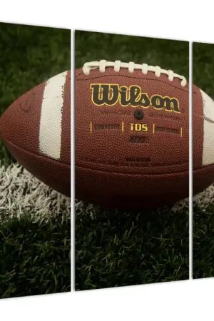 Popularny Schilderij - Voetbal