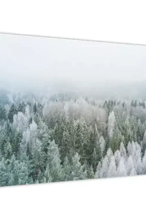 Schilderij - Besneeuwde boskruinen Kup teraz