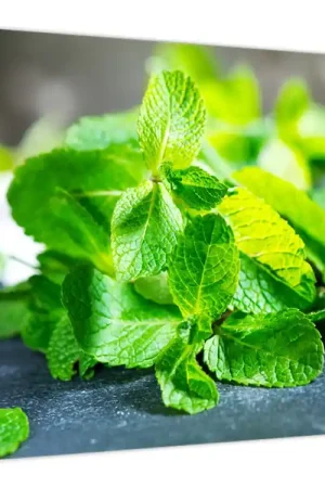 Schilderij - Munt Nowość