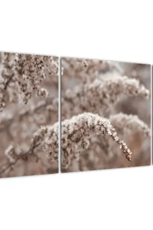 Schilderij - Planten Autentyczny