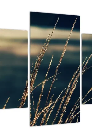 Zwrot pieniędzy Schilderij - Grasplanten