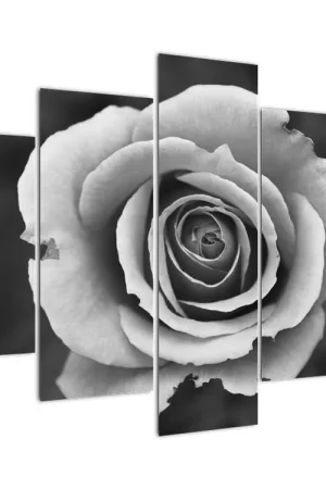 Premium Schilderij - Roos