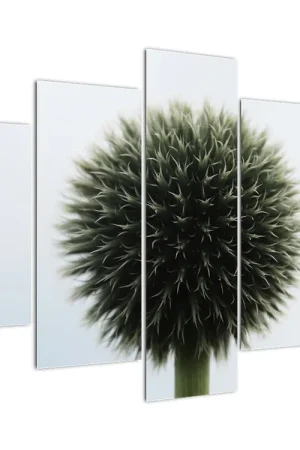 Schilderij - Bloemenbol Najlepsza cena