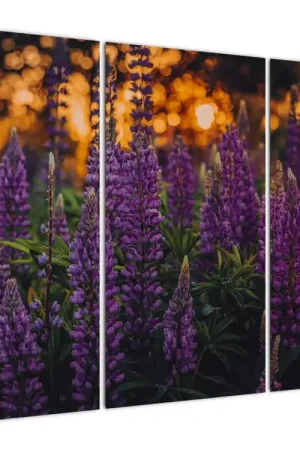 Schilderij - Lupinebloesems Ostatnia szansa