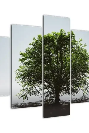 Popularny Schilderij - Alleenstaande boom