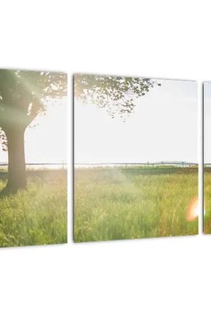 Rabat Schilderij - Boom op een veld