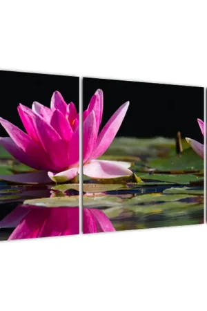 Schilderij - Waterlelies Nowość