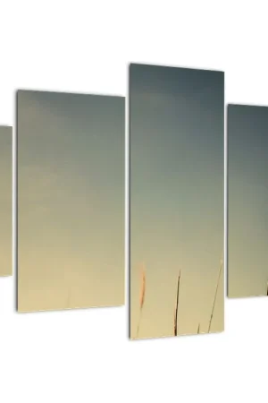 Schilderij - Gras Najlepsza cena