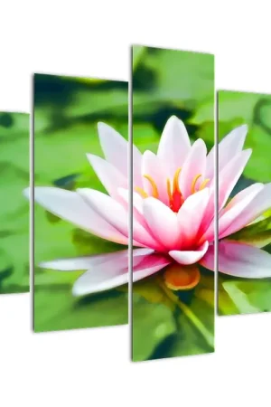 Ekspresowa dostawa Schilderij - Waterlelies op het water