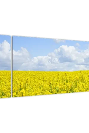 Schilderij -Geel veld Tani