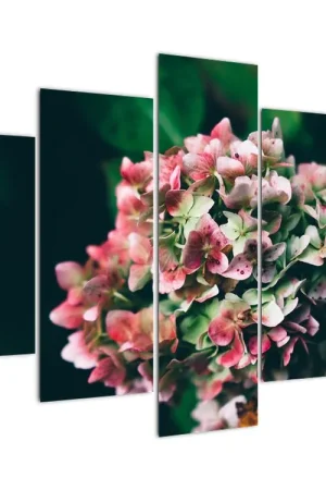 Kup teraz Schilderij - Hortensia, detail