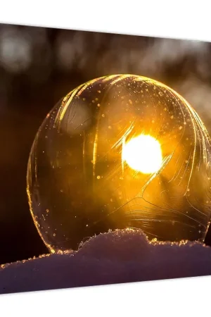 Zwrot pieniędzy Schilderij - Doorzichtig blaasje