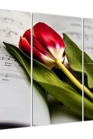 Popularny Schilderij - Rode tulp