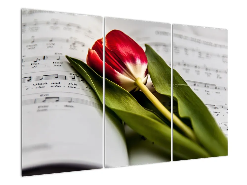 Popularny Schilderij - Rode tulp