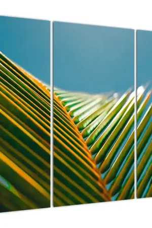 Szybka dostawa Schilderij - Palmblad, detail