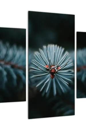 Popularny Schilderij - Takje van een naaldboom