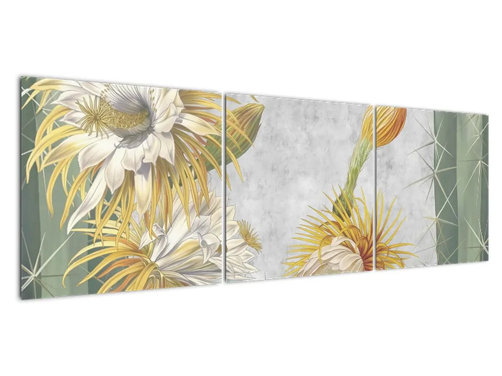 Schilderij - Bloeiende cactussen Niska cena