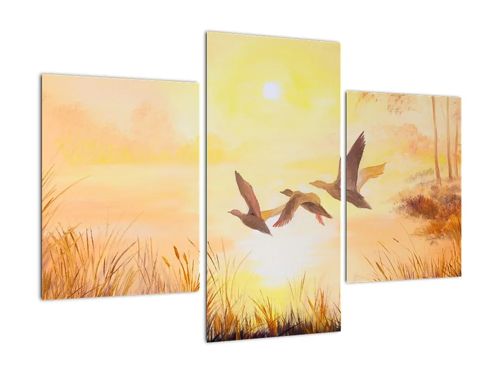 Schilderij - Kraanvogels bij zonsondergang Kup teraz