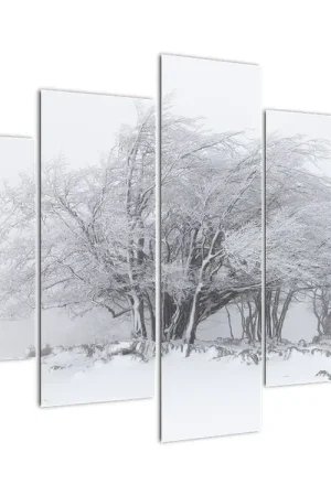 Schilderij - Witte winter Tylko dziś