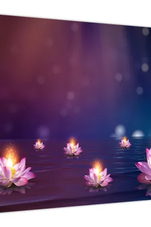 Najlepsza cena Schilderij - Betoverende waterlelies