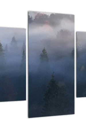 Wysoka jakość Schilderij - Bos in de nevel, Karpaten, Ukraïne